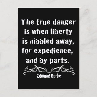 Liberty is Nibbled Away Postcard