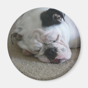 Liberty magnet