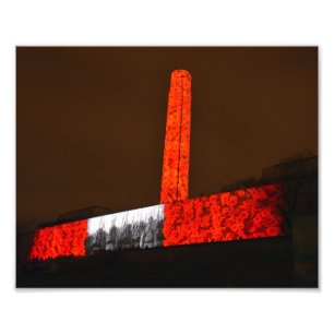 Liberty Memorial Poppies, Kansas City, Missouri Photo Print
