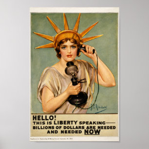 Liberty needs Money Poster