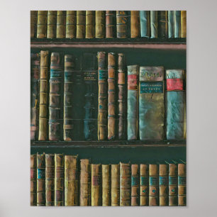 Library lover artwork poster
