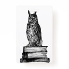 Library Owl