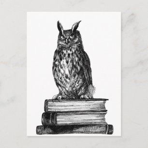 Library Owl Postcard