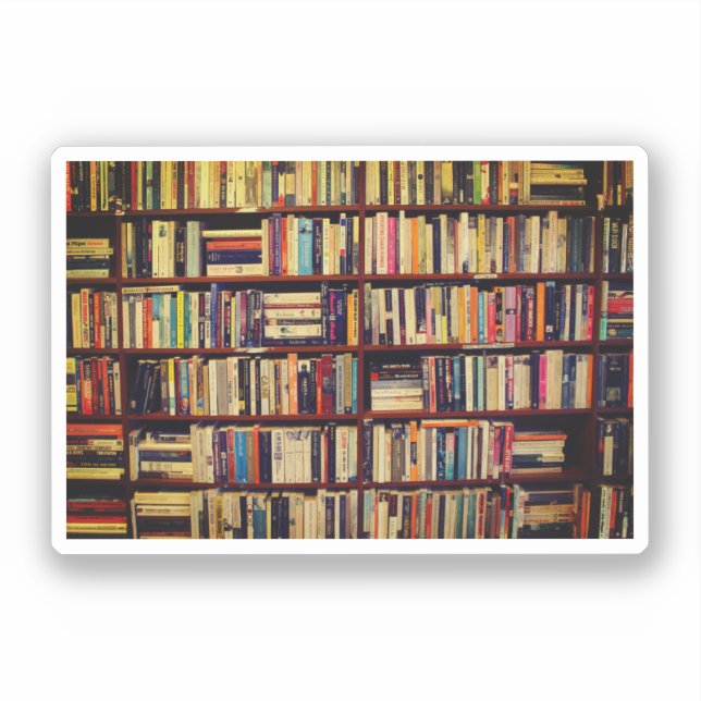 Library Shelves (Front)