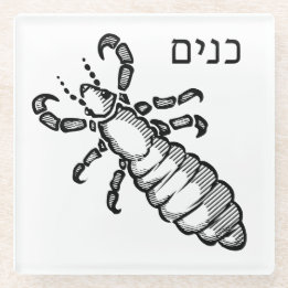 Lice Plague for Seder Glass Coaster