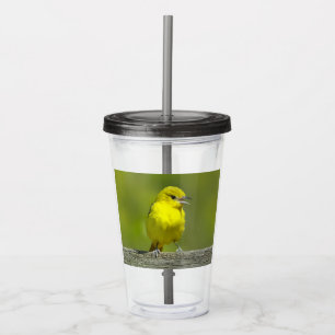 license acrylic tumbler