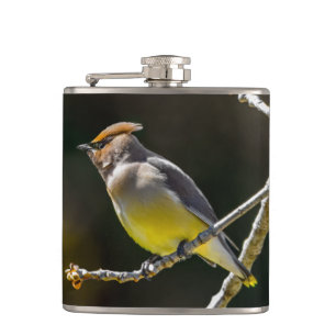 license hip flask