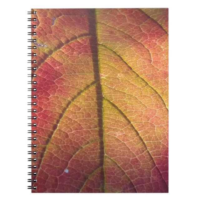 License Plate Frame Notebook (Front)