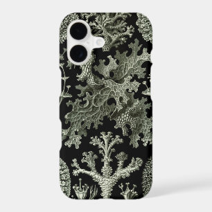 Lichen by Ernst Haeckel, Vintage Nature Plants