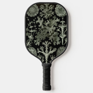 Lichen by Ernst Haeckel, Vintage Nature Plants Pickleball Paddle