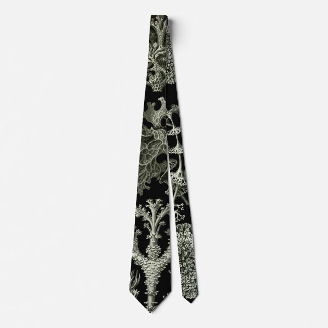 Lichen by Ernst Haeckel, Vintage Nature Plants Tie (Front)