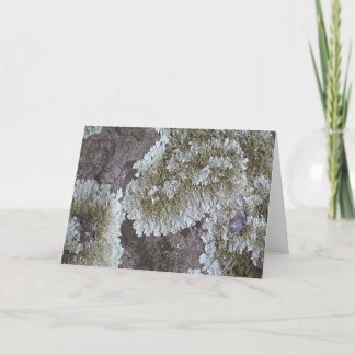 Lichen Card