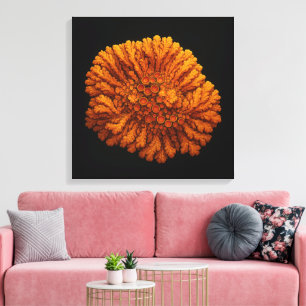 Lichen Composition  - Canvas Art Print