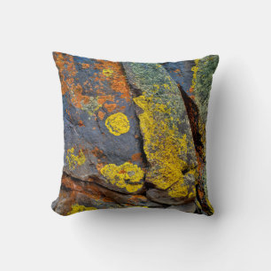 Lichen Covered Rocks Cushion