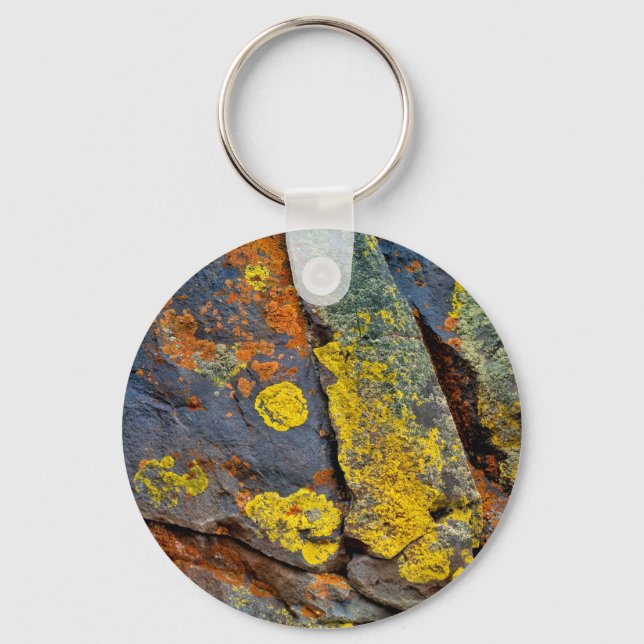 Lichen Covered Rocks Key Ring (Front)