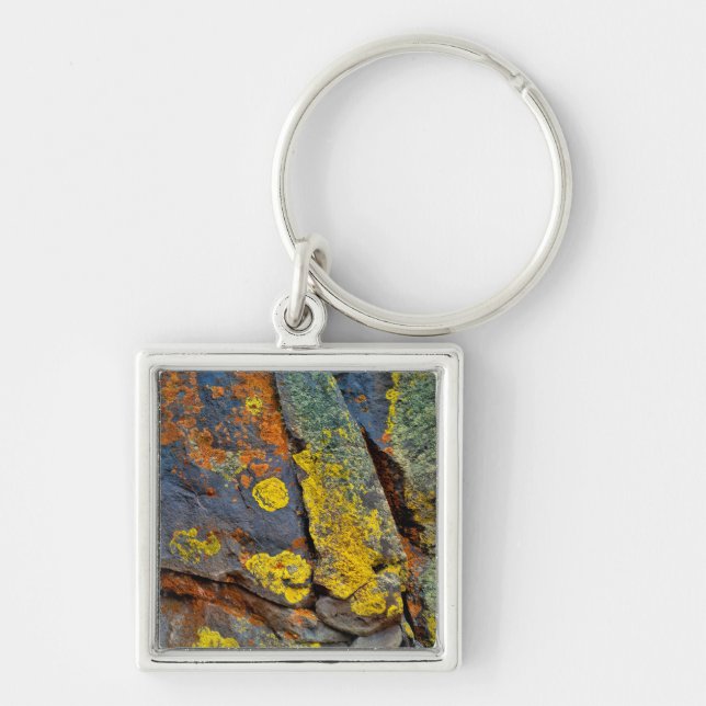 Lichen Covered Rocks Key Ring (Front)