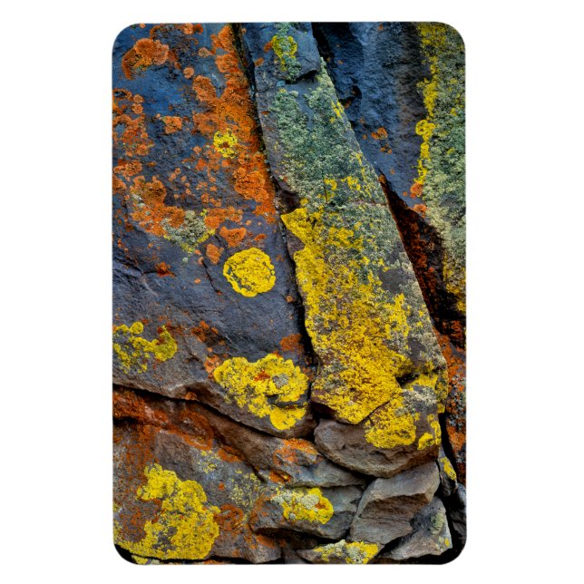 Lichen Covered Rocks Magnet (Vertical)