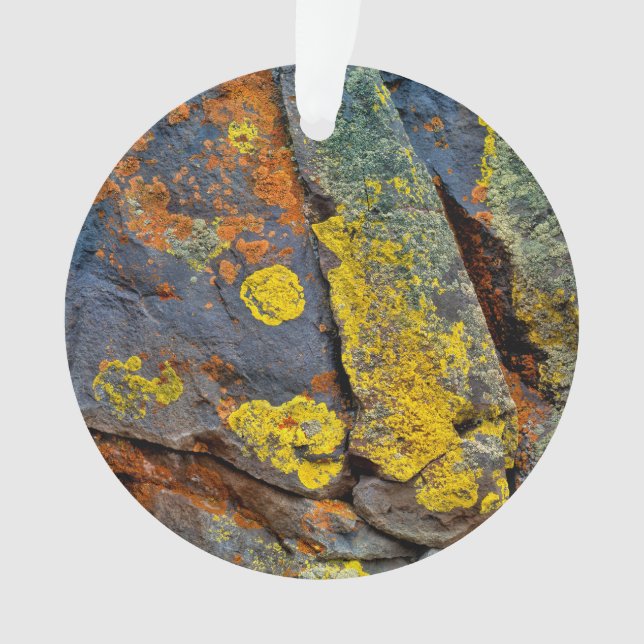 Lichen Covered Rocks Ornament (Front)