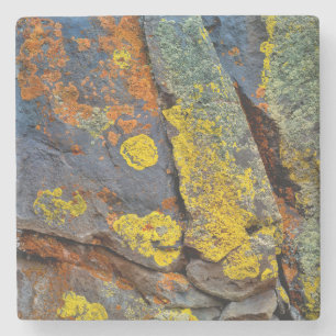 Lichen Covered Rocks Stone Coaster