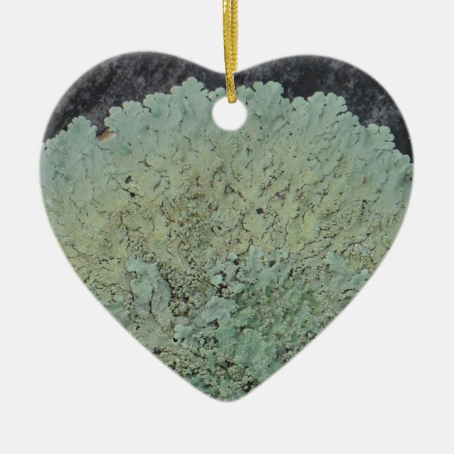 Lichen Mossy Circle Ceramic Tree Decoration (Front)