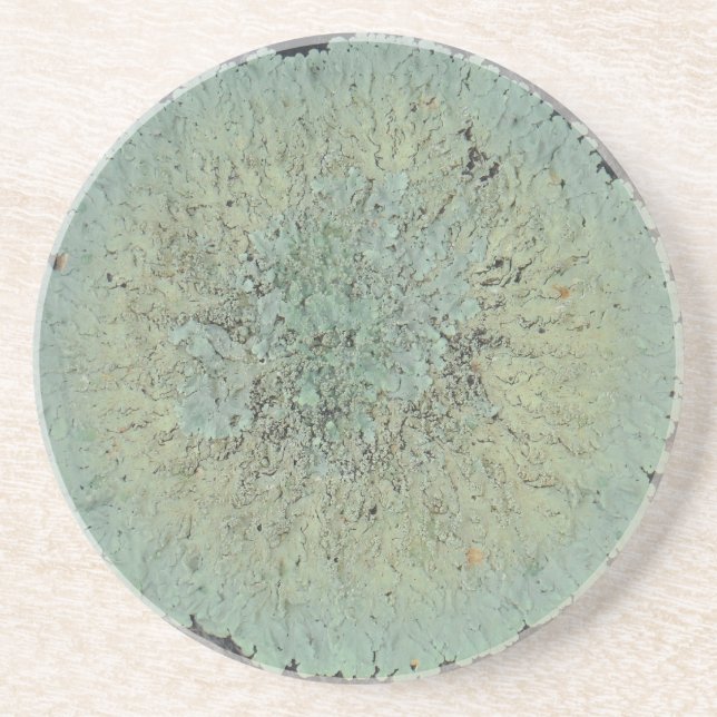 Lichen Mossy Circle Coaster (Front)