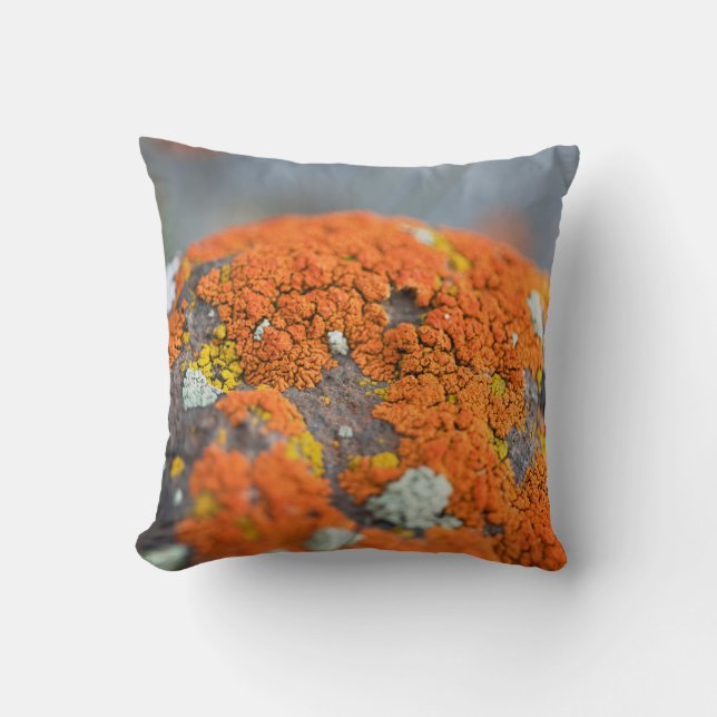 Lichen orange moss stone grey cushion (Front)