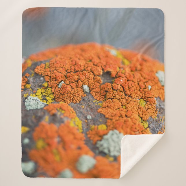 Lichen orange moss stone grey sherpa blanket (Front)