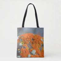 Lichen orange moss stone grey