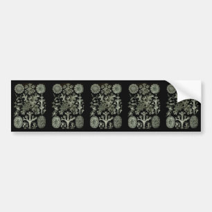 Lichens Bumper Sticker
