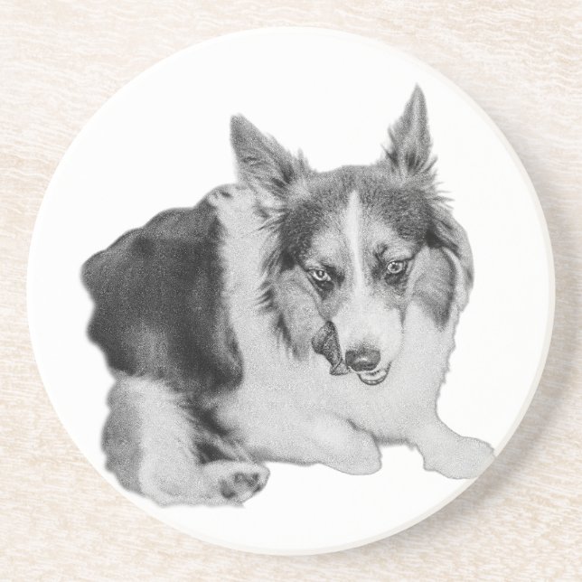 Lick of Approval Coaster (Front)