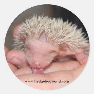 Licking baby sticker