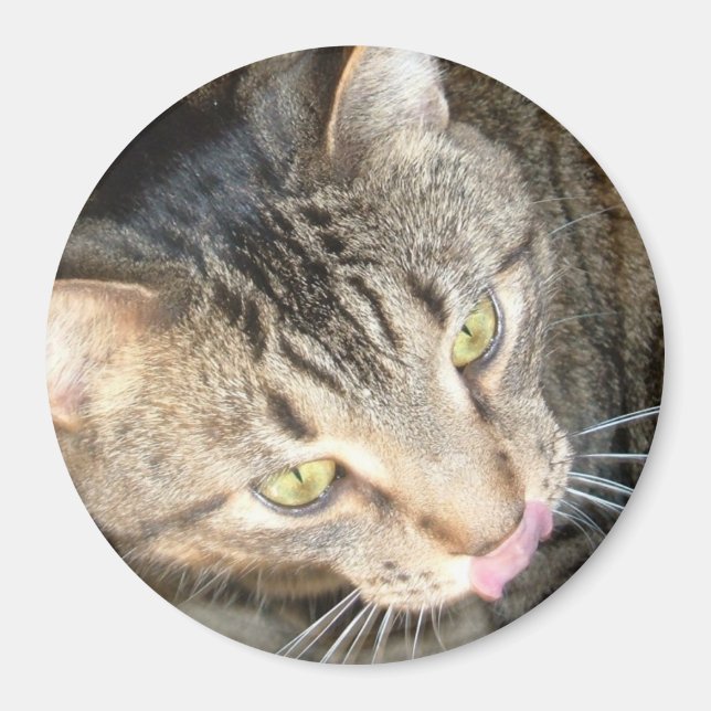 Licky Paws Magnet (Front)