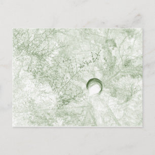 LiDAR Postcard