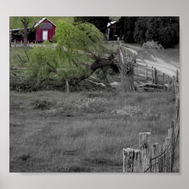 Life after Disaster Poster (Front)