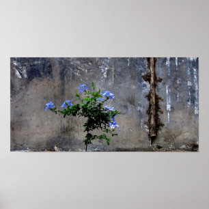 Life and Death Poster