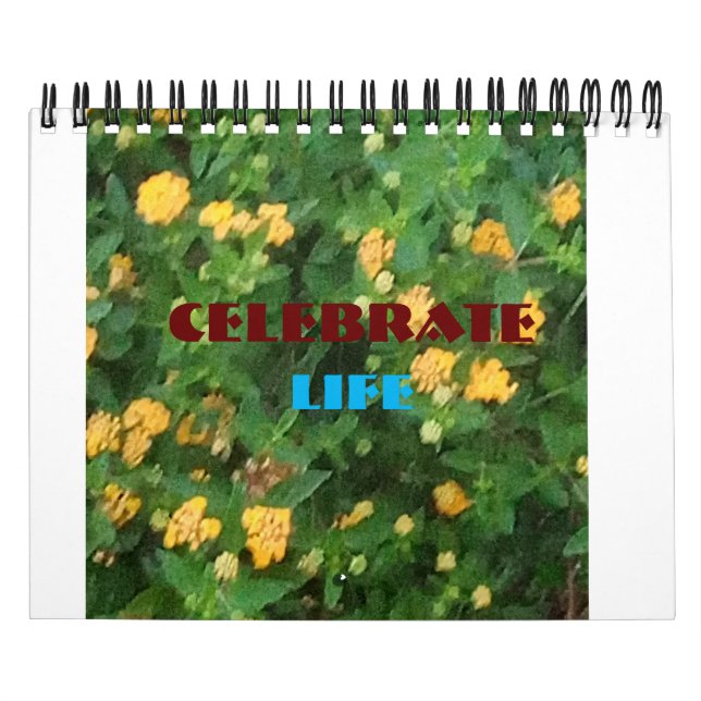 Life celebration calendar (Cover)