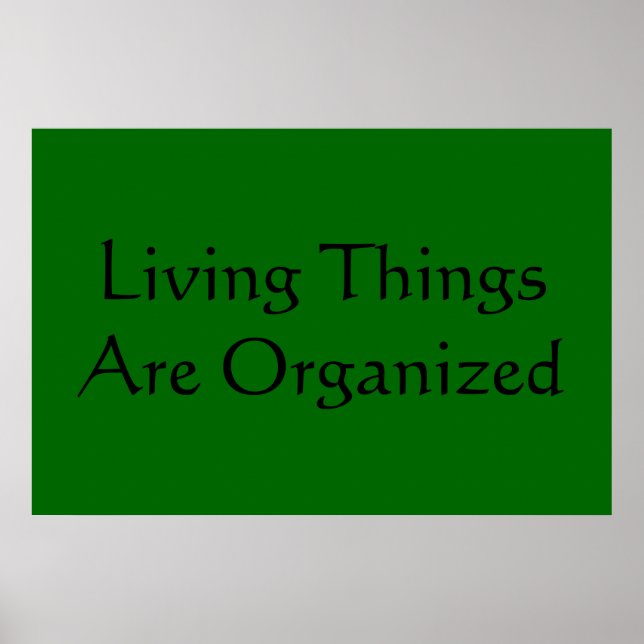 Life Characteristics Poster (Front)