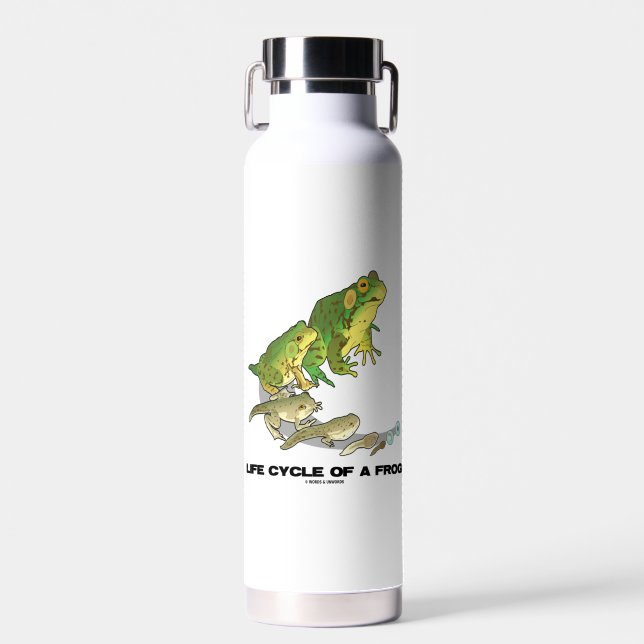 Life Cycle Of A Frog From Egg To Tadpole To Frog Water Bottle (Front)