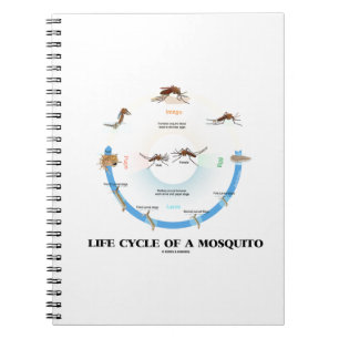 Life Cycle Of A Mosquito (Egg Larva Pupa Imago) Spiral Notebook