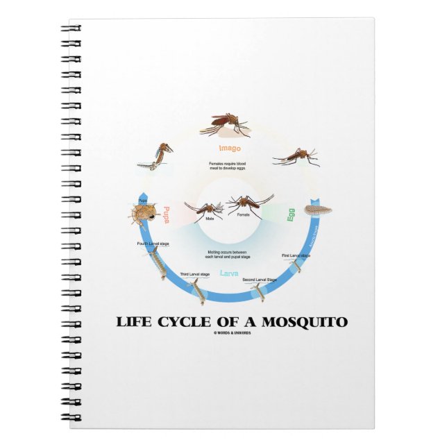 Life Cycle Of A Mosquito (Egg Larva Pupa Imago) Spiral Notebook (Front)