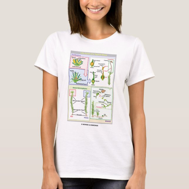 Life Cycle Of A Typical Moss (Bryophyte) T-Shirt (Front)