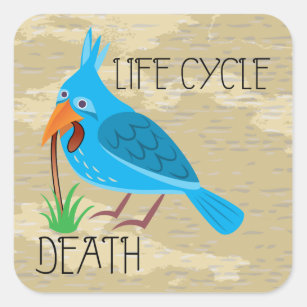 Life Cycle Square Sticker