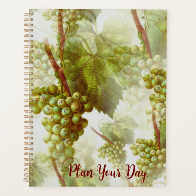 Life in Order: Daily, Weekly, Monthly Planner (Front)