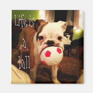 Life is a ball ! magnet