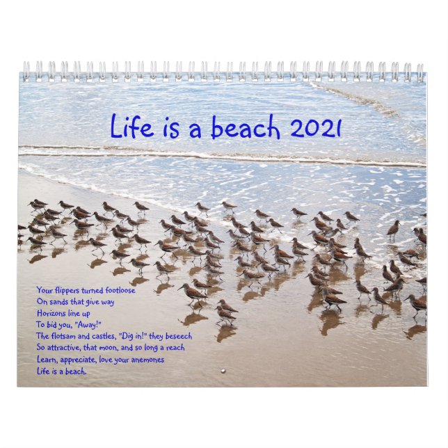 Life is a Beach Calandar Calendar (Cover)