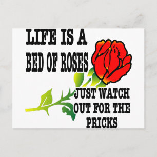 Life Is A Bed Of Roses Watch Out For The Pricks Postcard