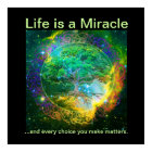 Life is a Miracle