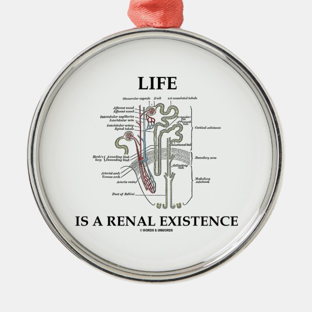 Life Is A Renal Existence (Kidney Nephron) Metal Tree Decoration (Front)