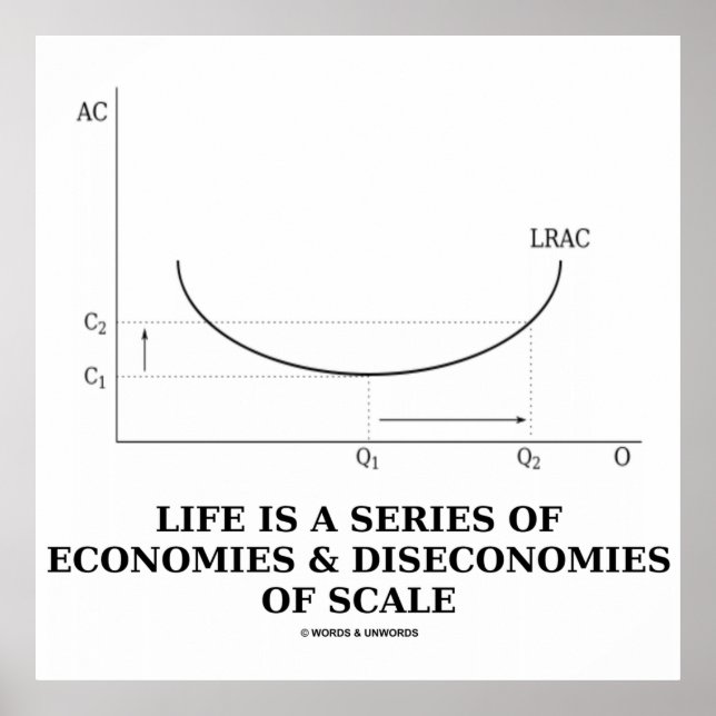 Life Is A Series Of Economies & Diseconomies Scale Poster (Front)