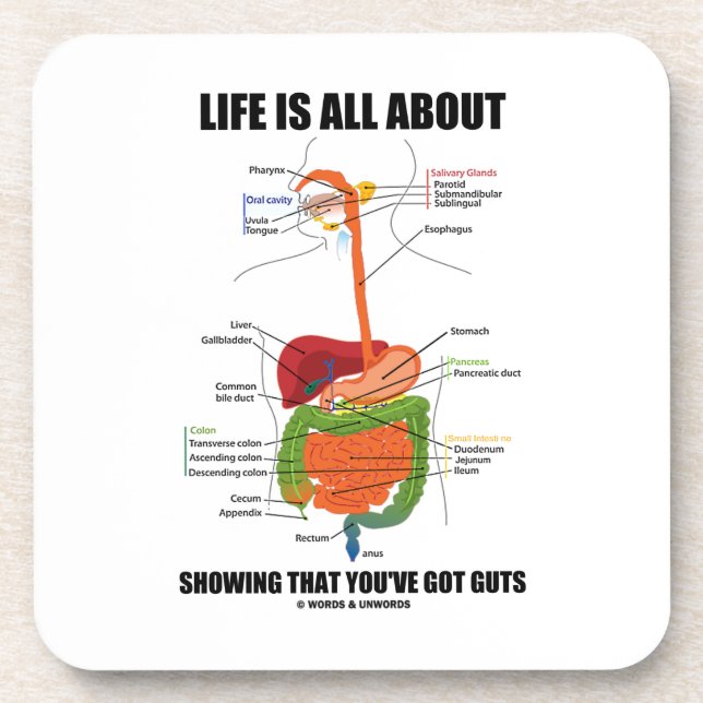 Life Is All About Showing That You've Got Guts Coaster (Front)